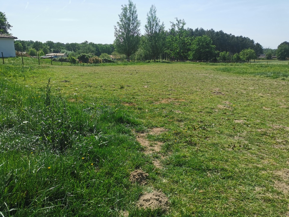 Terrain à bâtir à Coimères (33210)