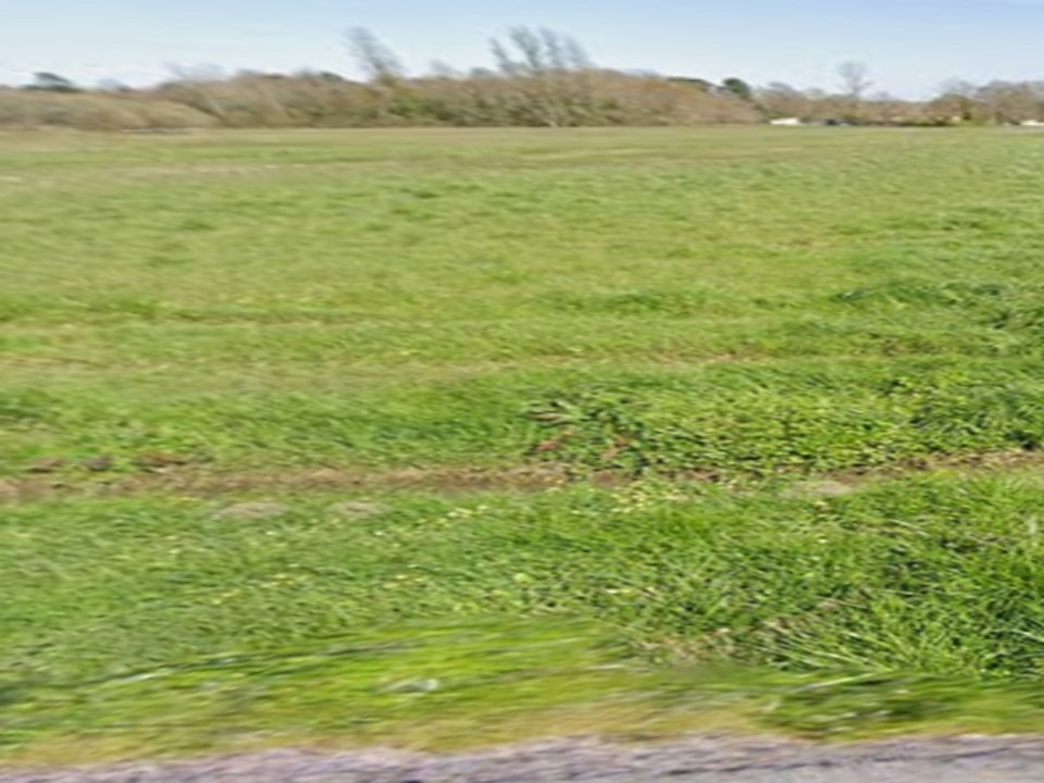 Terrain à bâtir à Saint-Savin (33920)