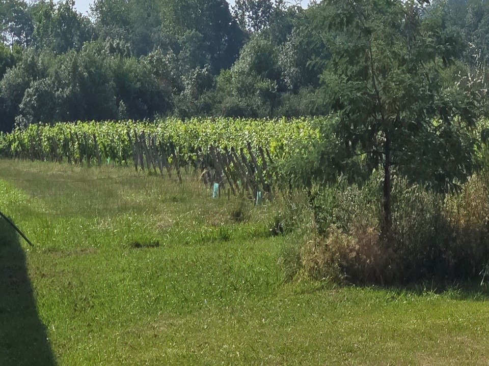 Terrain à bâtir à Saint-André-de-Cubzac (33240)