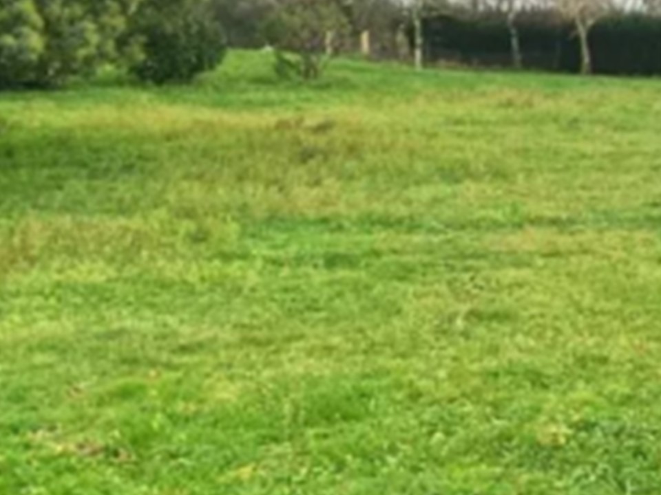 Terrain à bâtir à Saint-Genès-de-Fronsac (33240)