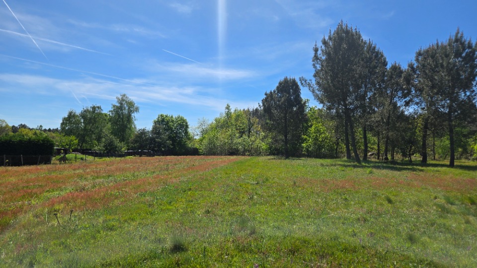 Terrain à bâtir à Saint-Yzan-de-Soudiac (33920)