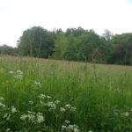 Terrain à bâtir à Saint-Jean-d’Ataux (24190)