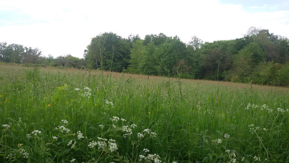 Terrain à bâtir à Saint-Jean-d’Ataux (24190)