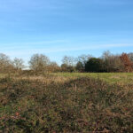 Terrain à bâtir à Saint-Laurent-des-Hommes (24400)