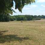 Terrain à bâtir à Saint-Front-de-Pradoux (24400)