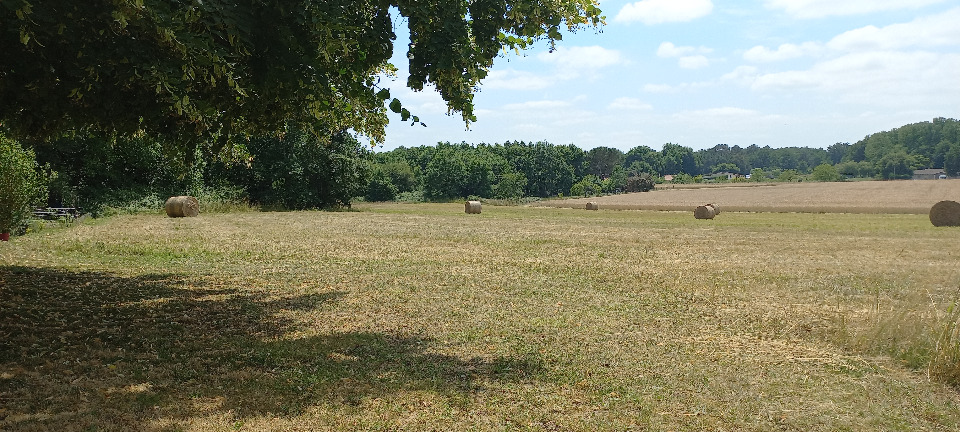 Terrain à bâtir à Saint-Front-de-Pradoux (24400)