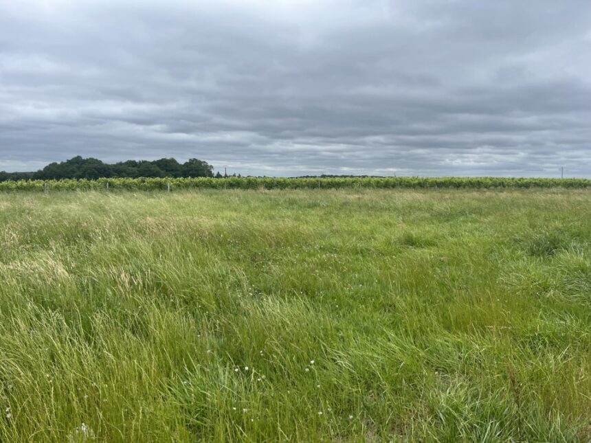 Terrain à bâtir à Jonzac (17500)