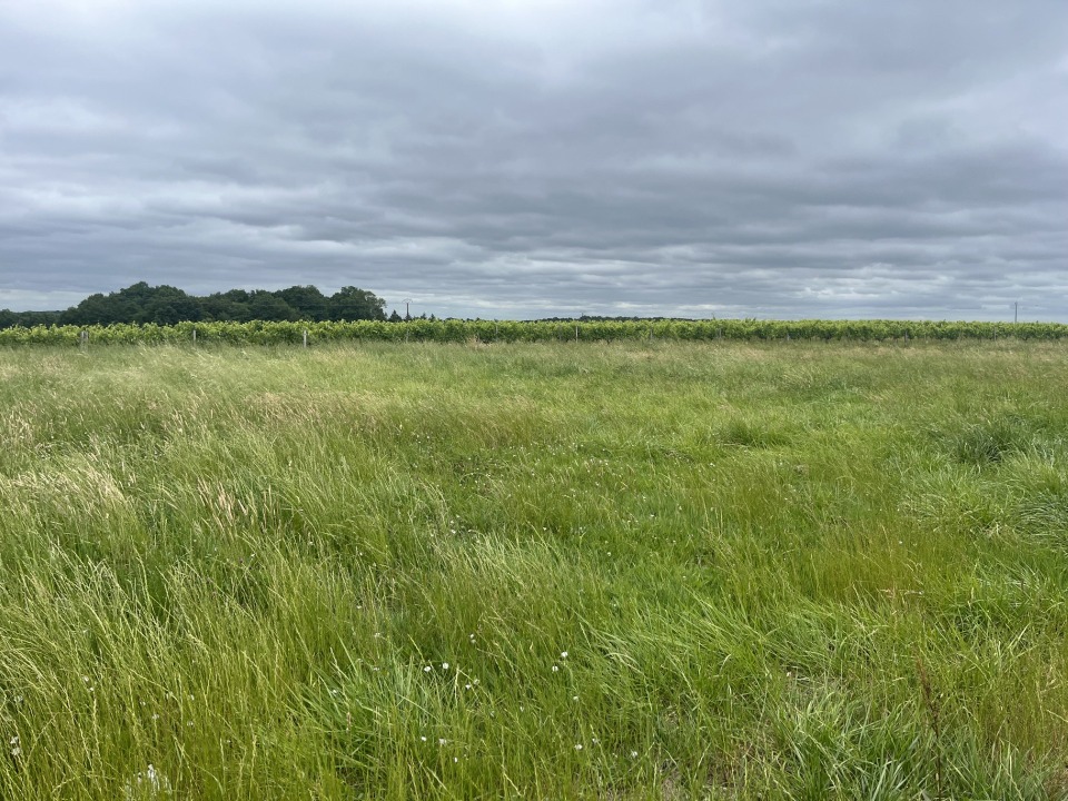 Terrain à bâtir à Jonzac (17500)
