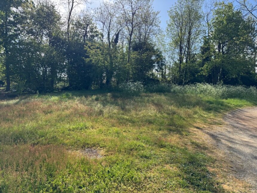 Terrain à bâtir à Lesparre-Médoc (33340)