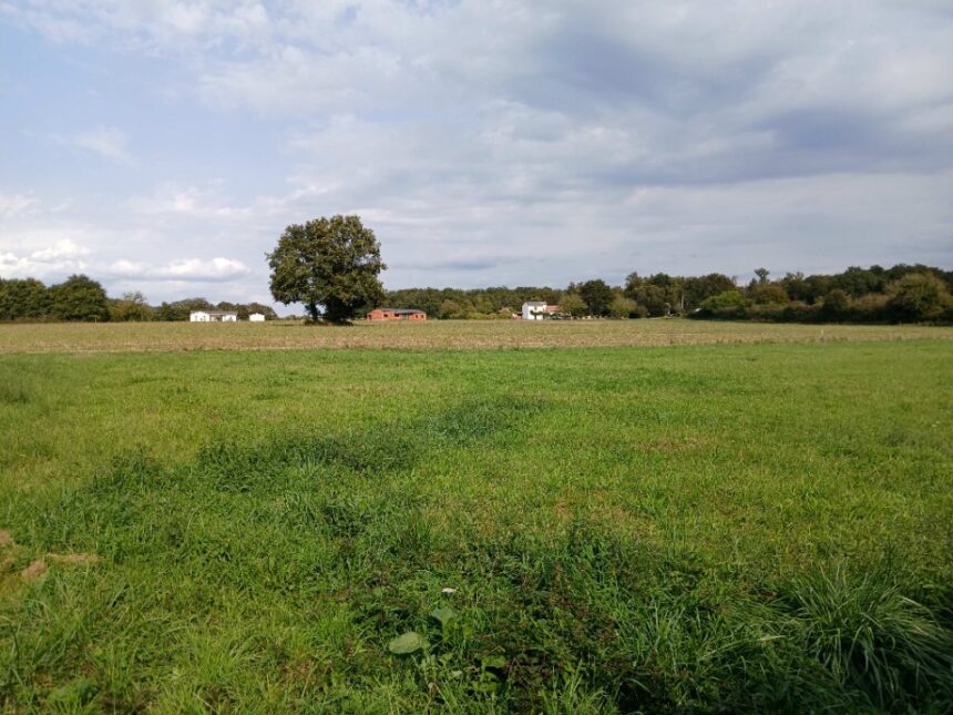 Terrain à bâtir à Tocane-Saint-Apre (24350)
