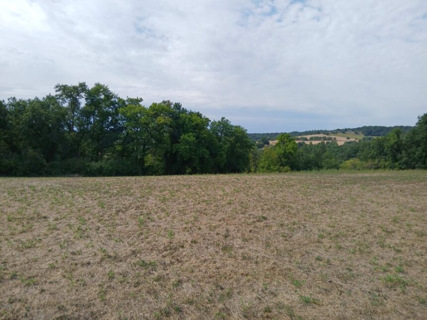 Terrain à bâtir à Saint-Martin-de-Ribérac (24600)
