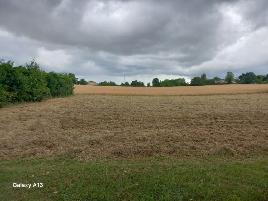 Terrain à bâtir à Ozillac (17500)