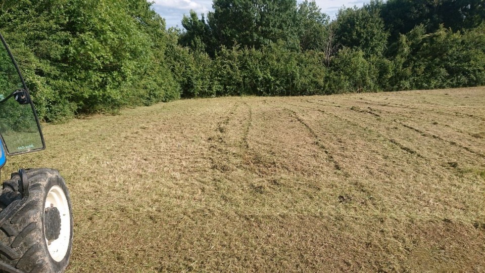 Terrain à bâtir à Mirambeau (17150)