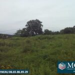 Terrain à bâtir à Urcuit (64990)