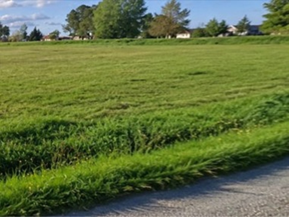 Terrain à bâtir à La Lande-de-Fronsac (33240)
