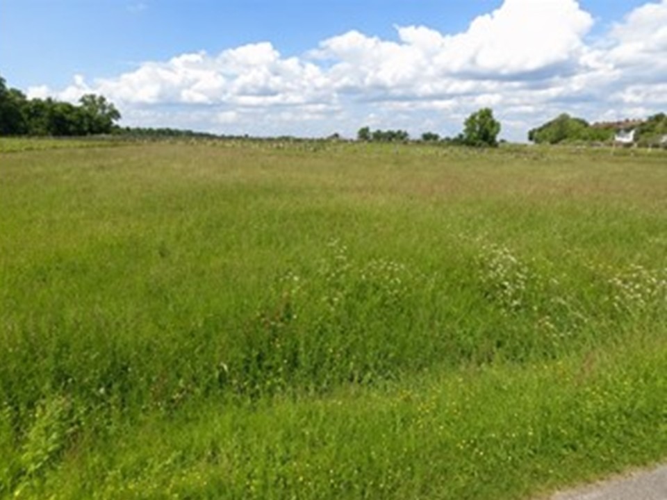 Terrain à bâtir à Saint-Savin (33920)