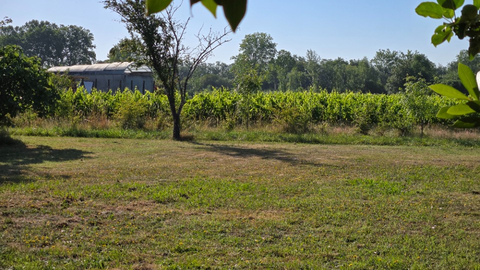 Terrain à bâtir à Saint-André-de-Cubzac (33240)