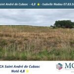 Terrain à bâtir à Saint-Savin (33920)