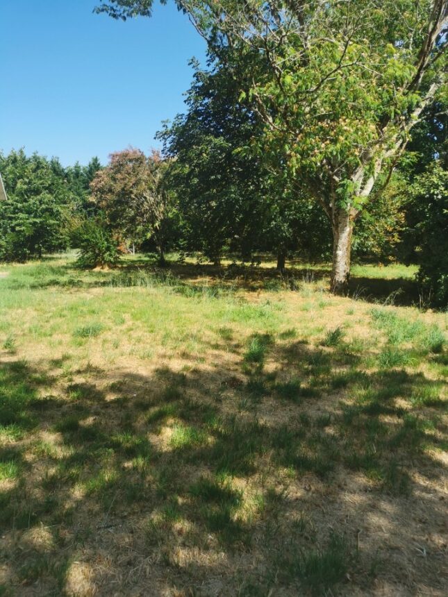 Maison à construire à Roaillan (33210)