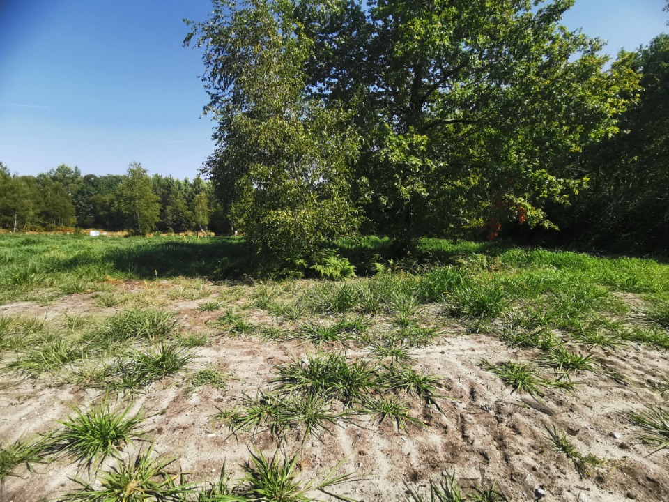 Terrain à bâtir à Mios (33380)