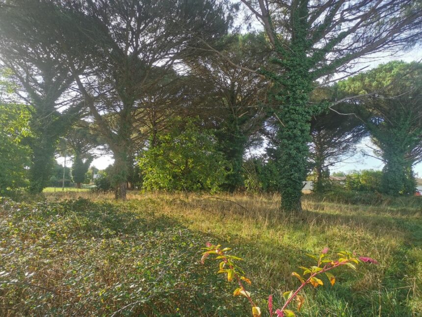 Terrain à bâtir à Le Barp (33114)