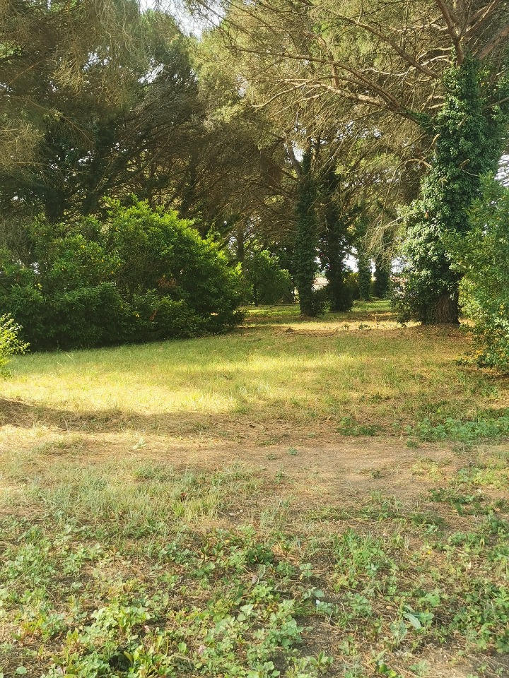 Terrain à bâtir à Saint-Maixant (33490)