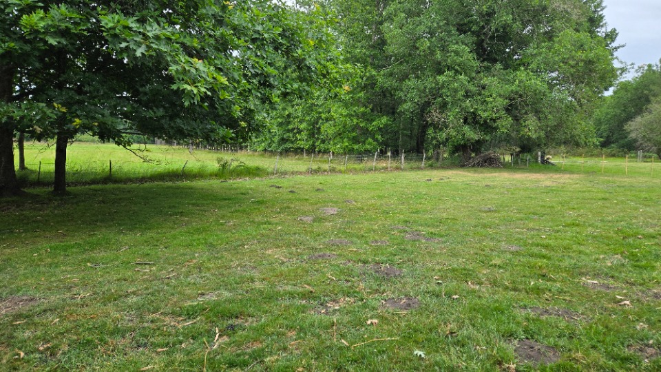 Terrain à bâtir à Saint-Savin (33920)