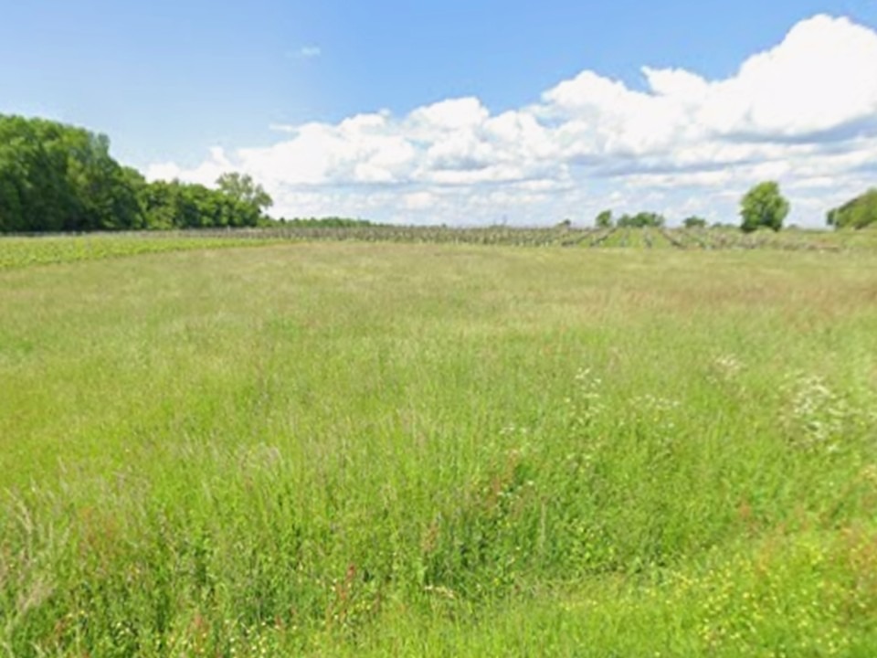 Terrain à bâtir à Bourg (33710)