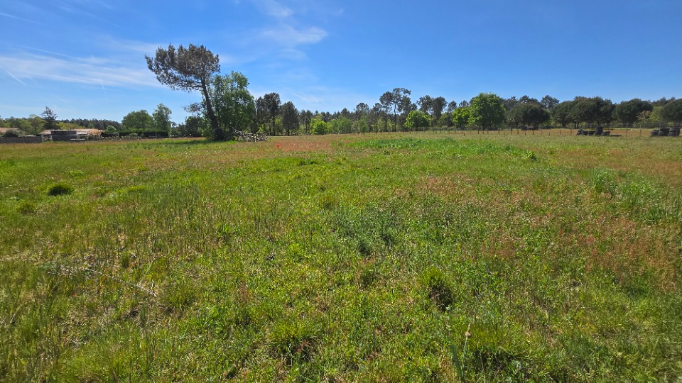Terrain à bâtir à Aubie-et-Espessas (33240)