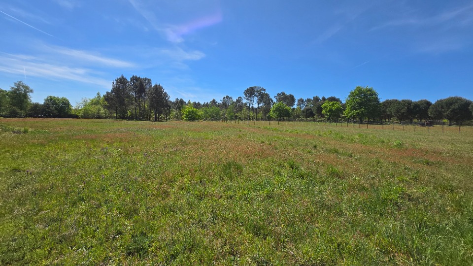 Terrain à bâtir à Aubie-et-Espessas (33240)