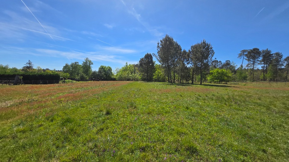 Terrain à bâtir à Aubie-et-Espessas (33240)