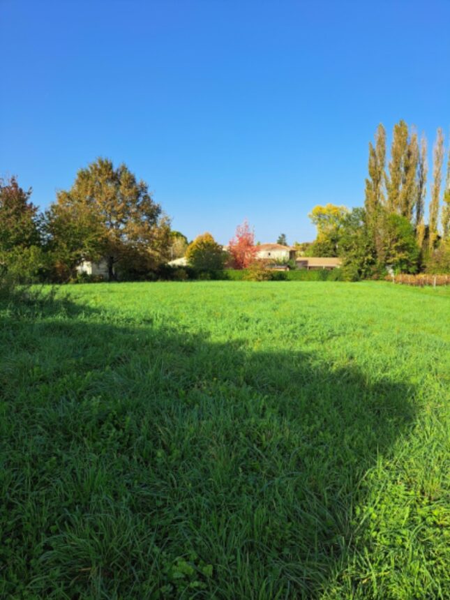 Terrain à bâtir à Saint-Denis-de-Pile (33910)