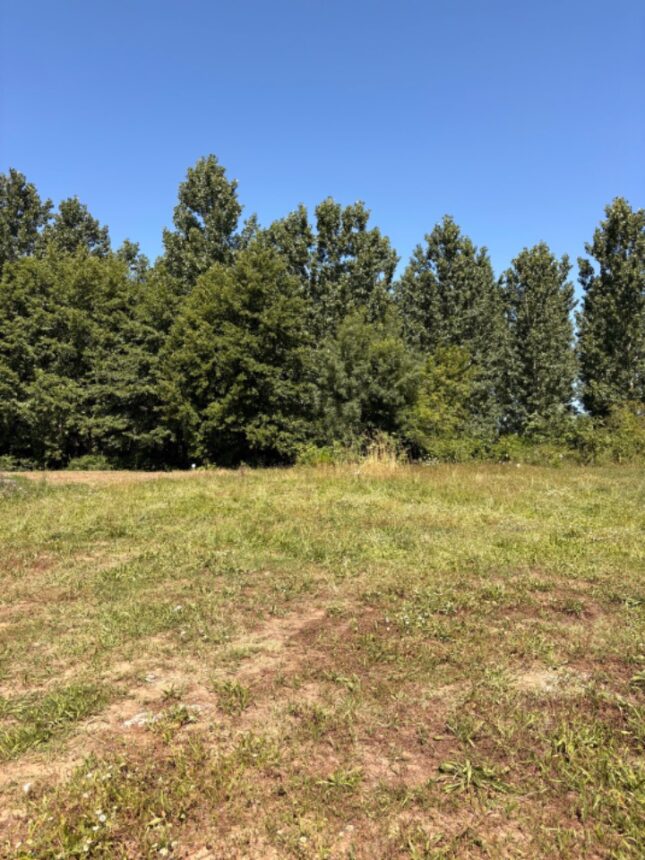 Terrain à bâtir à Vayres (33870)