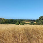 Terrain à bâtir à Villefranche-de-Lonchat (24610)