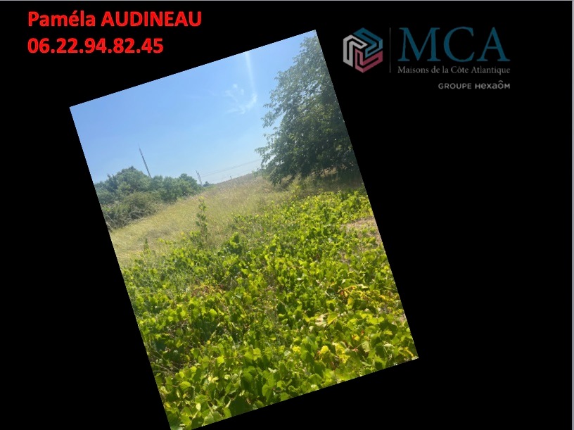 Terrain à bâtir à Portets (33640)