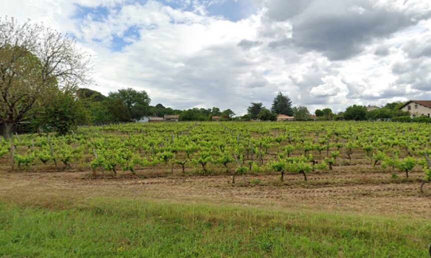 Terrain à bâtir à Castres-Gironde (33640)