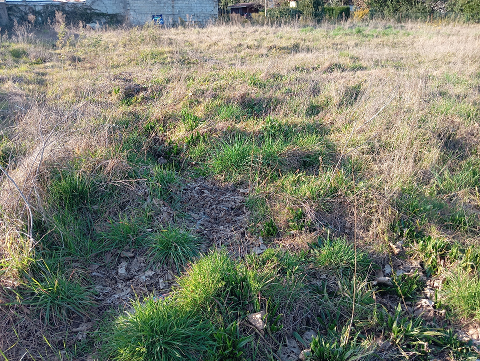 Terrain à bâtir à Biganos (33380)