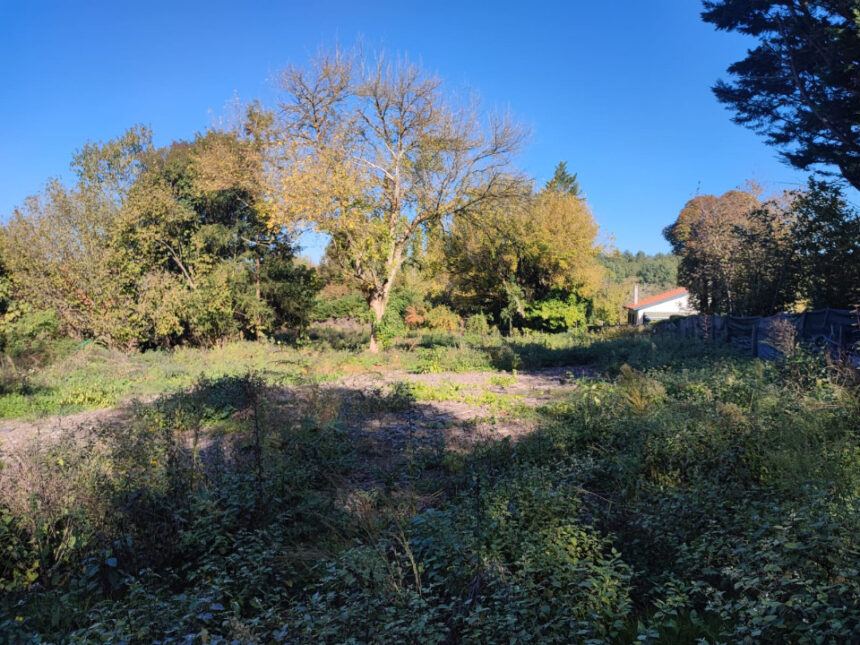 Terrain à bâtir à Camarsac (33750)