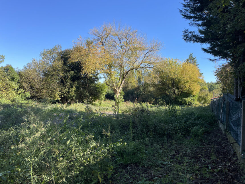 Terrain à bâtir à Camarsac (33750)