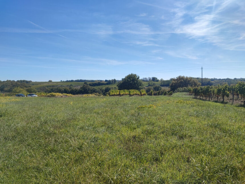 Terrain à bâtir à Créon (33670)