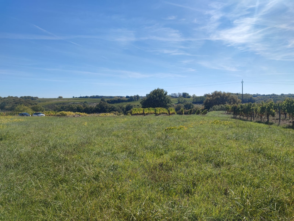 Terrain à bâtir à Créon (33670)