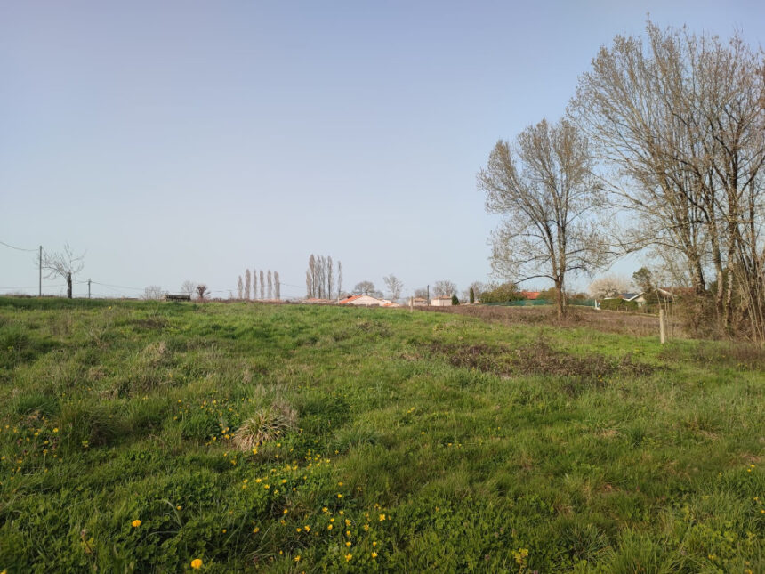 Terrain à bâtir à Daignac (33420)