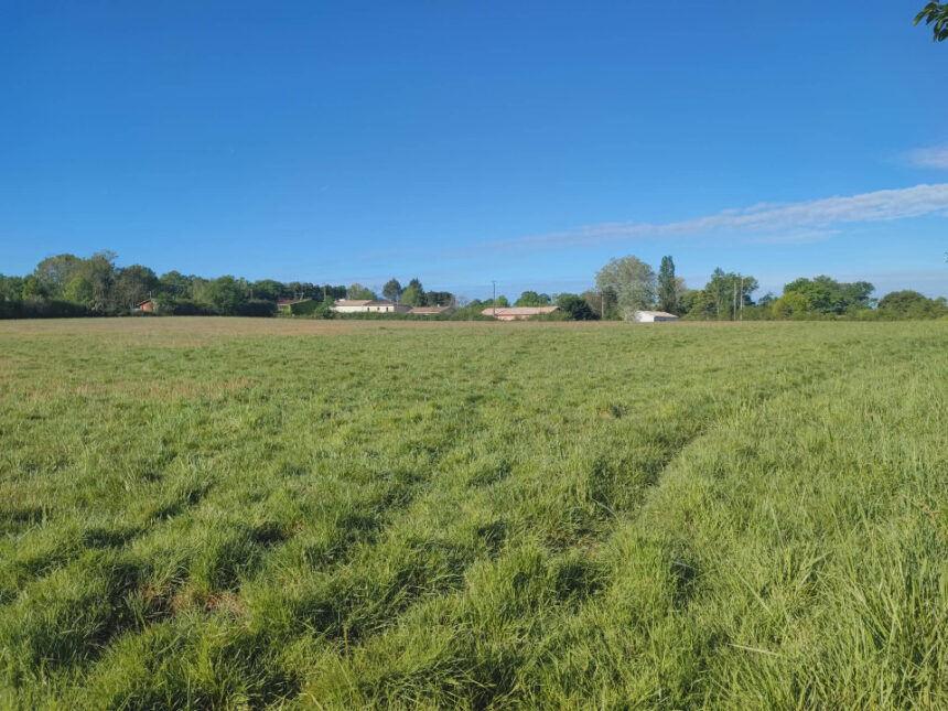 Terrain à bâtir à Créon (33670)