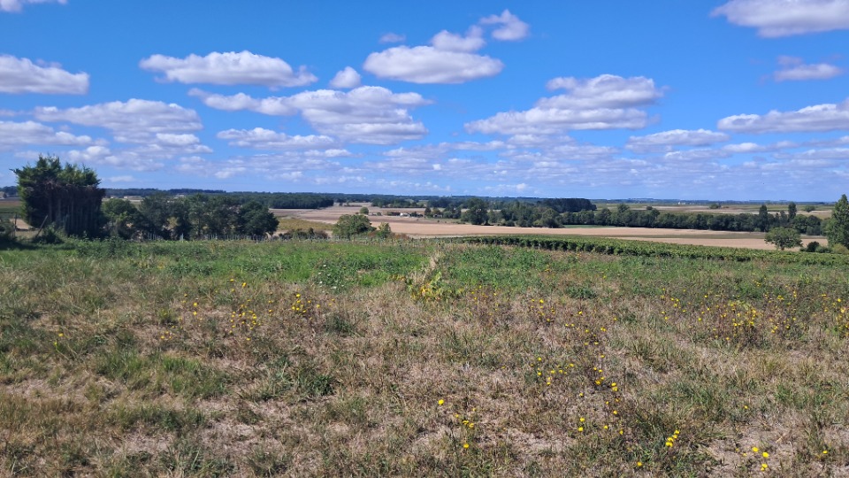 Terrain à bâtir à Saint-Maigrin (17520)