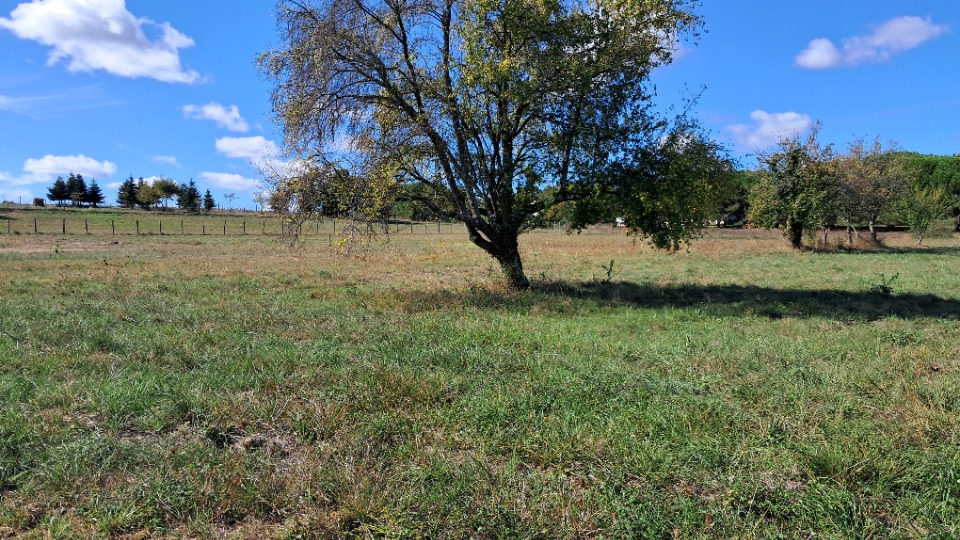 Terrain à bâtir à Courpignac (17130)
