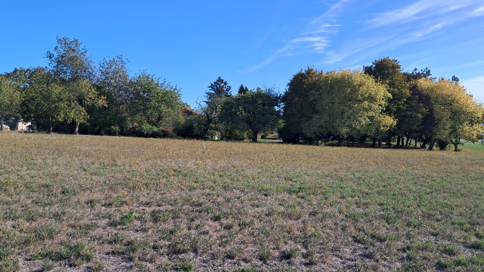 Terrain à bâtir à Mortiers (17500)