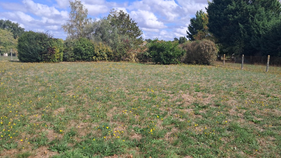 Terrain à bâtir à Jonzac (17500)