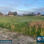 Terrain à bâtir à Saint-Sever (40500)