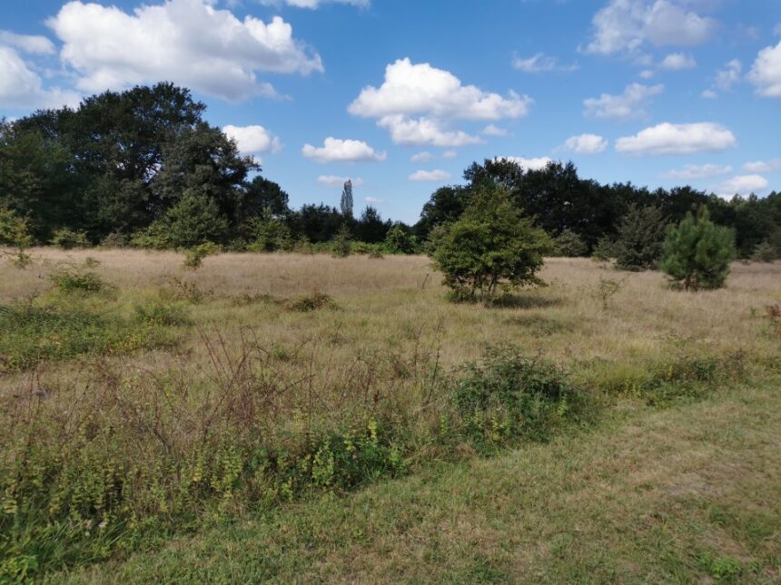 Terrain à bâtir à Mios (33380)