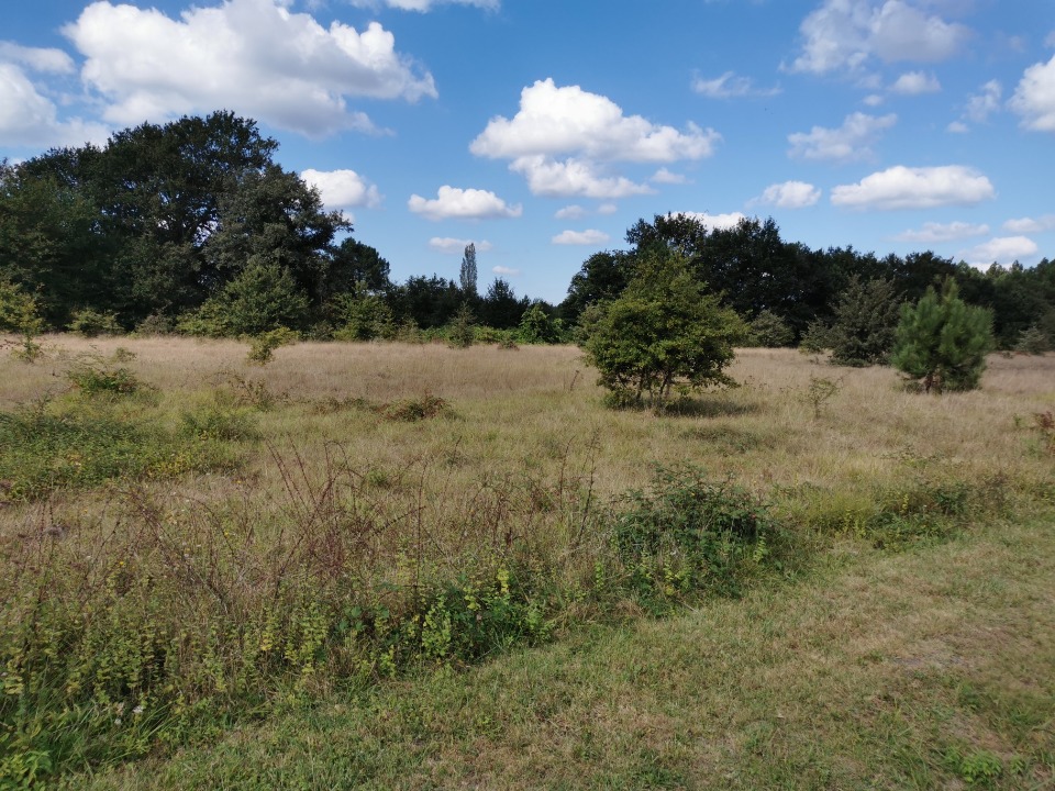 Terrain à bâtir à Mios (33380)